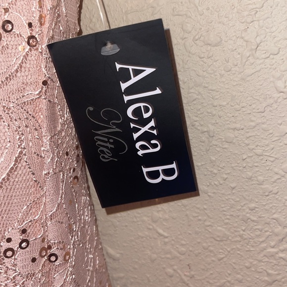 NWT Alex B beautiful elegant lace sequins dress pink size 8 - Picture 5 of 10